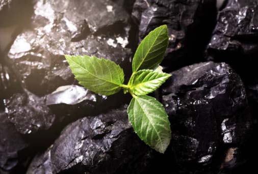 sustainability